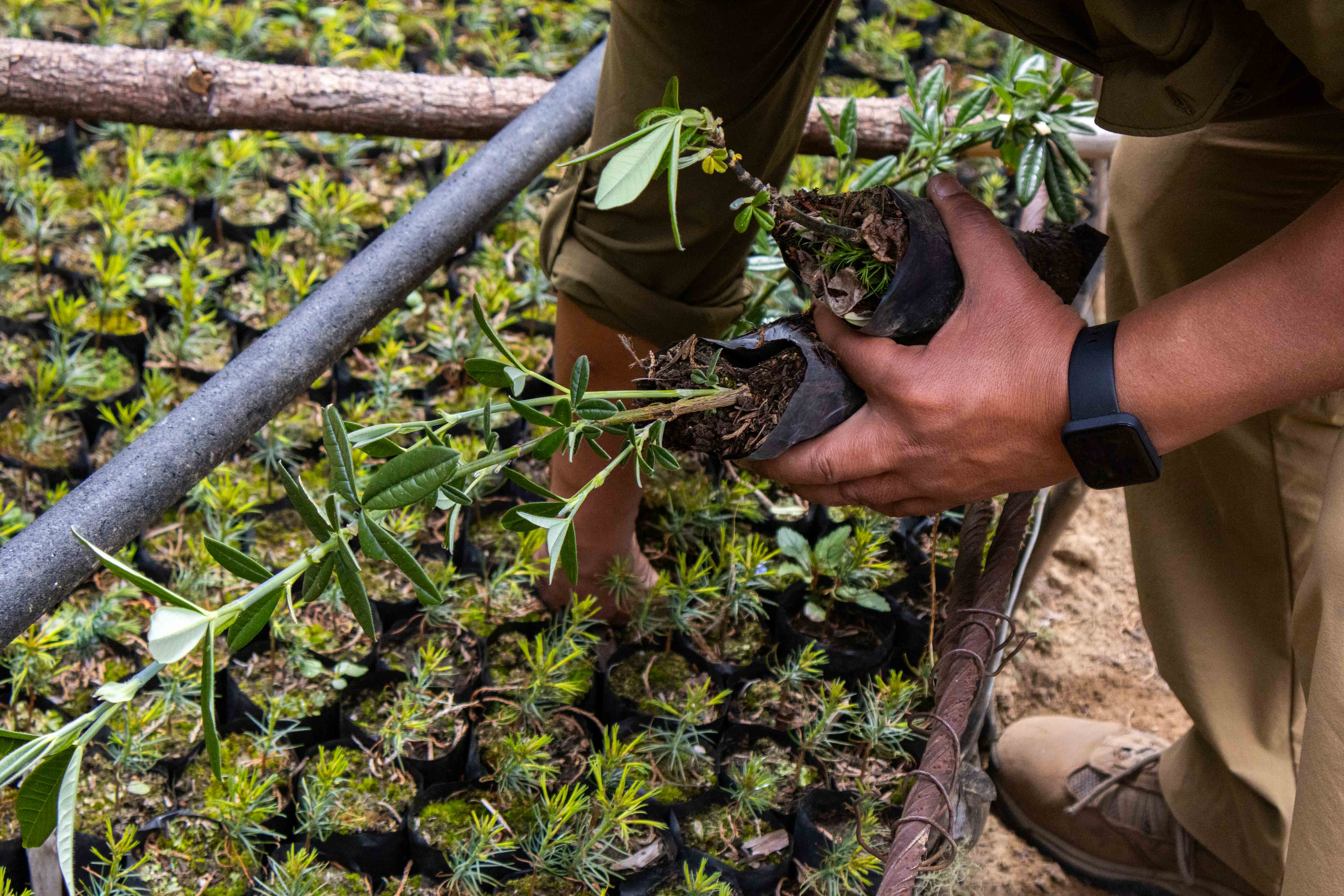 Earth Day 2026: Restoring Land